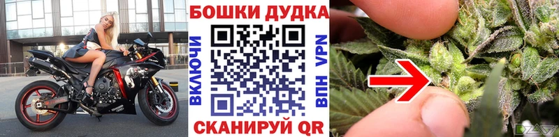 Купить закладки  Алексеевка  Марихуана конопля 